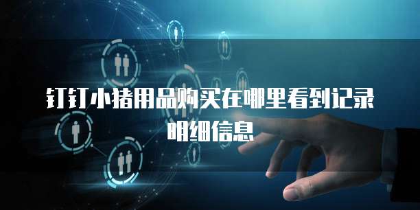 钉钉小猪用品购买在哪里看到记录明细信息