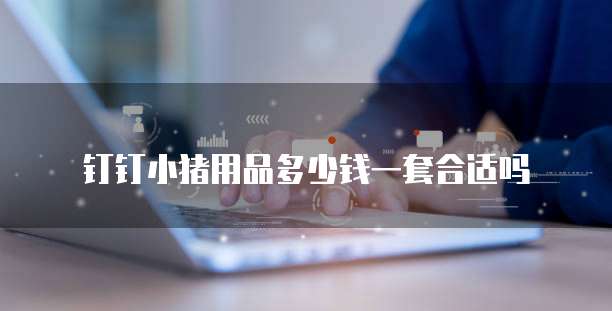 钉钉小猪用品多少钱一套合适吗