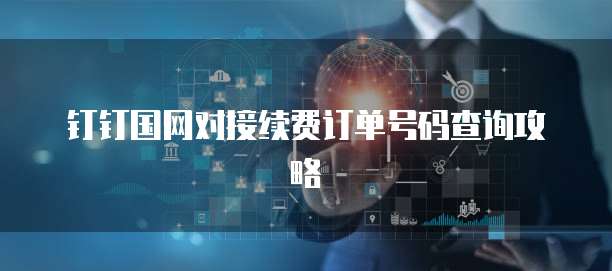 钉钉国网对接续费订单号码查询攻略