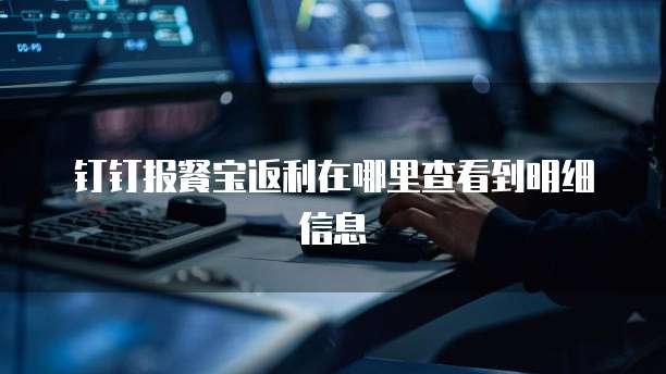 钉钉报餐宝返利在哪里查看到明细信息