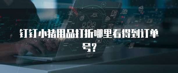 钉钉小猪用品打折哪里看得到订单号?