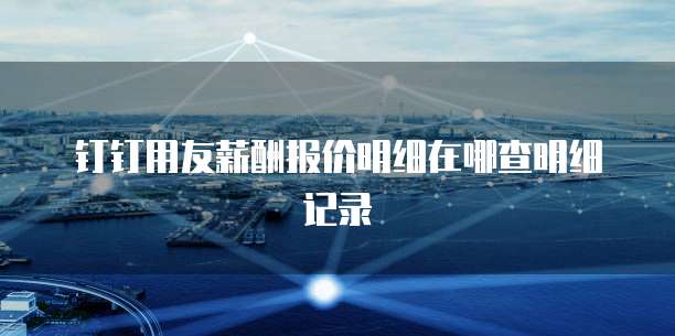 钉钉用友薪酬报价明细在哪查明细记录