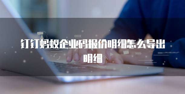 钉钉蚂蚁企业码报价明细怎么导出明细
