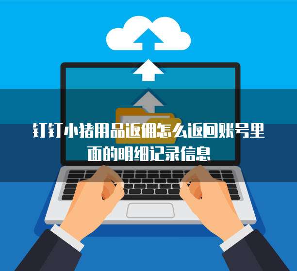 钉钉小猪用品返佣怎么返回账号里面的明细记录信息
