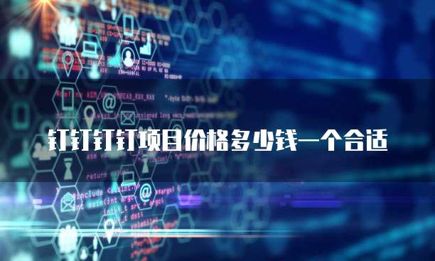 钉钉钉钉项目价格多少钱一个合适