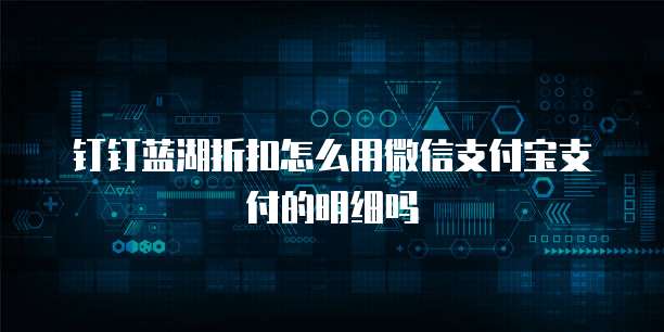 钉钉蓝湖折扣怎么用微信支付宝支付的明细吗