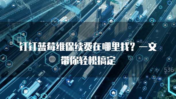 钉钉蓝莓维保续费在哪里找?一文带你轻松搞定
