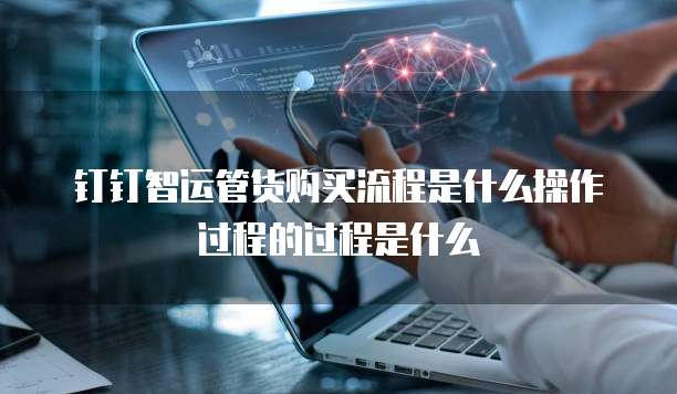 钉钉智运管货购买流程是什么操作过程的过程是什么