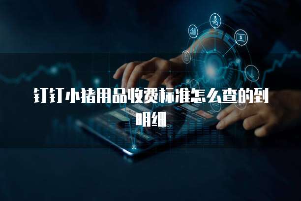 钉钉小猪用品收费标准怎么查的到明细