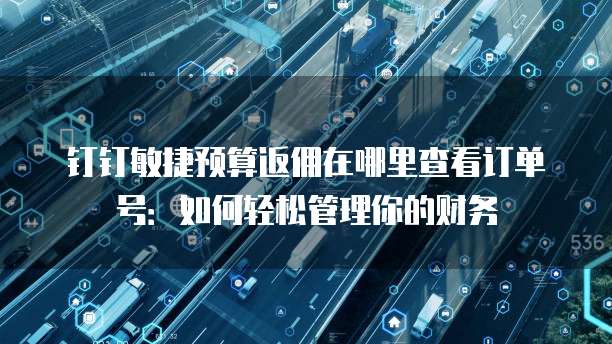 钉钉敏捷预算返佣在哪里查看订单号:如何轻松管理你的财务