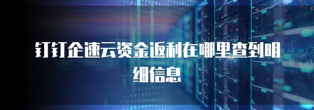 钉钉企速云资金返利在哪里查到明细信息