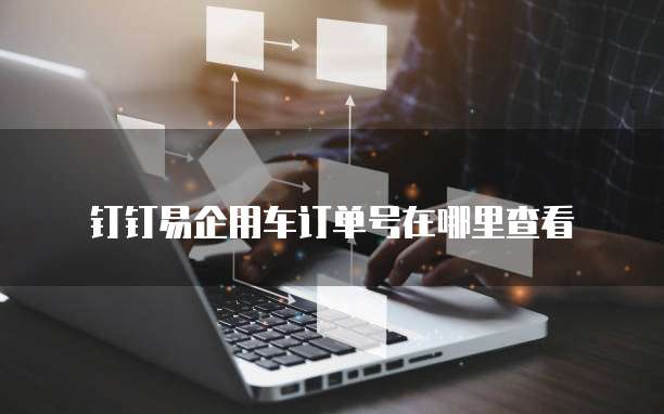 钉钉易企用车订单号在哪里查看