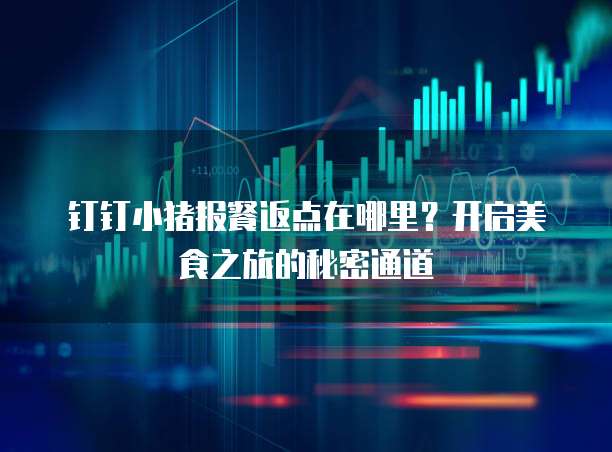 钉钉小猪报餐返点在哪里？开启美食之旅的秘密通道