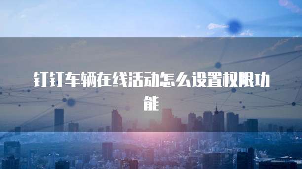 钉钉车辆在线活动怎么设置权限功能