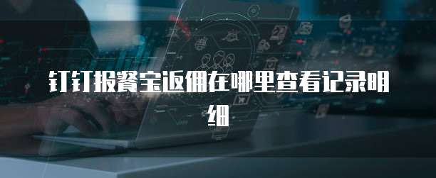 钉钉报餐宝返佣在哪里查看记录明细