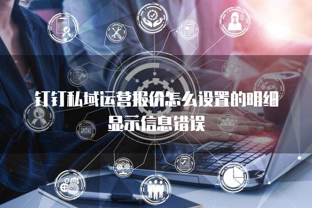 钉钉私域运营报价怎么设置的明细显示信息错误