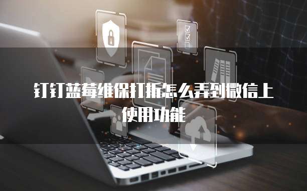 钉钉蓝莓维保打折怎么弄到微信上使用功能
