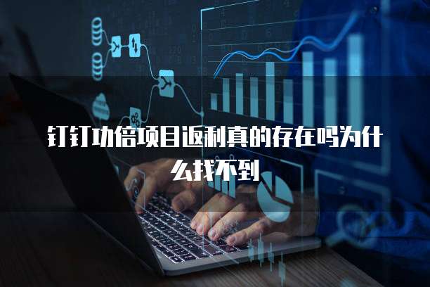 钉钉功倍项目返利真的存在吗为什么找不到