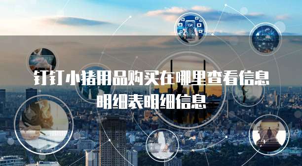 钉钉小猪用品购买在哪里查看信息明细表明细信息