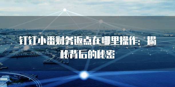 钉钉小番财务返点在哪里操作:揭秘背后的秘密