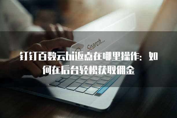 钉钉百数云bi返点在哪里操作:如何在后台轻松获取佣金