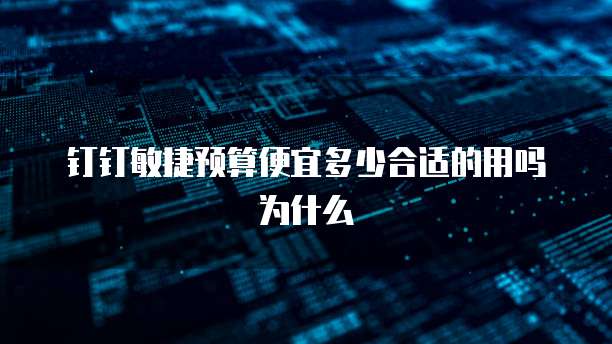钉钉敏捷预算便宜多少合适的用吗为什么