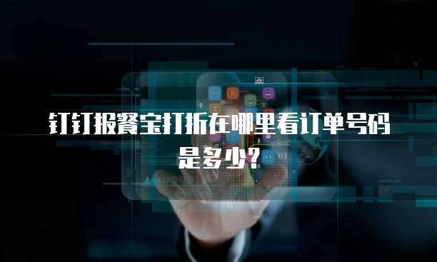 钉钉报餐宝打折在哪里看订单号码是多少?