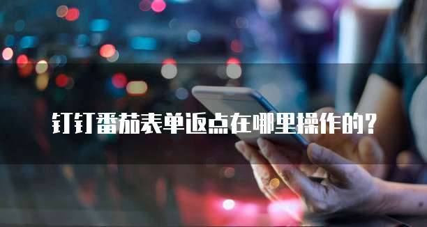 钉钉番茄表单返点在哪里操作的?