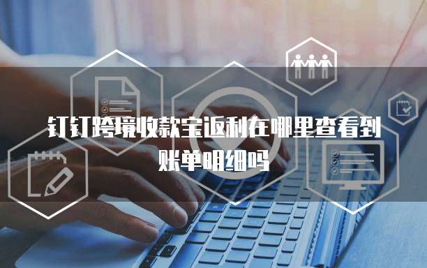钉钉跨境收款宝返利在哪里查看到账单明细吗
