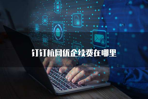 钉钉杭网优企续费在哪里