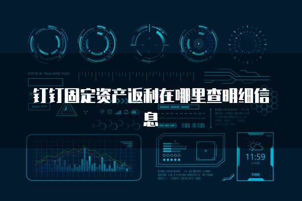 钉钉固定资产返利在哪里查明细信息