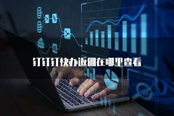 钉钉钉快办返佣在哪里查看