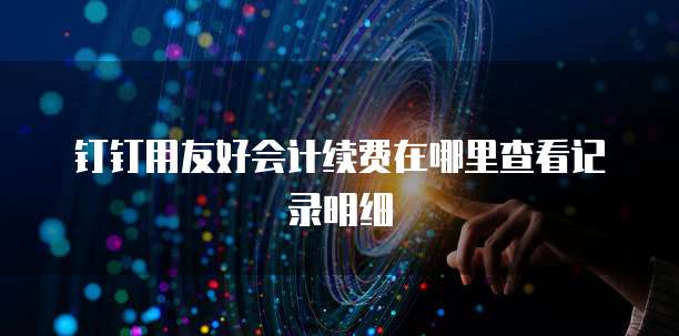 钉钉用友好会计续费在哪里查看记录明细