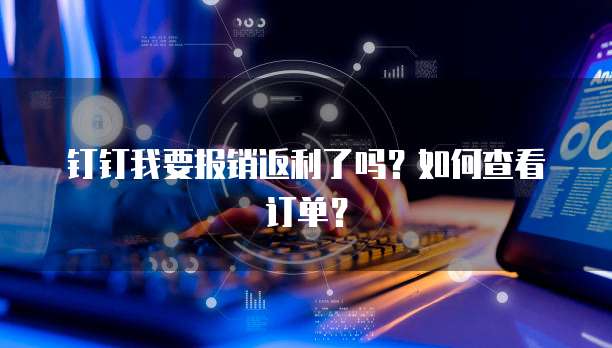 钉钉我要报销返利了吗？如何查看订单？