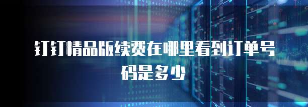 钉钉精品版续费在哪里看到订单号码是多少