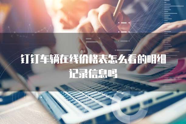 钉钉车辆在线价格表怎么看的明细记录信息吗
