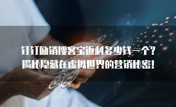 钉钉励销搜客宝返利多少钱一个?揭秘隐藏在虚拟世界的营销秘密!