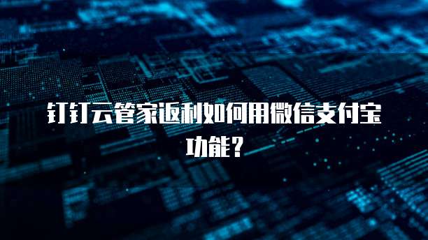 钉钉云管家返利如何用微信支付宝功能?
