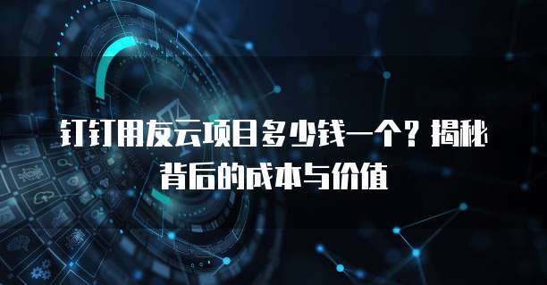 钉钉用友云项目多少钱一个?揭秘背后的成本与价值