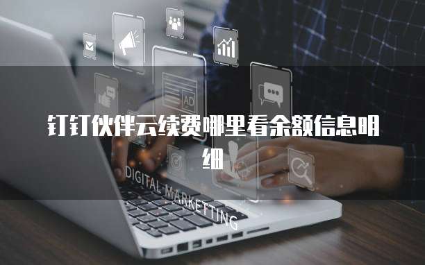 钉钉伙伴云续费哪里看余额信息明细