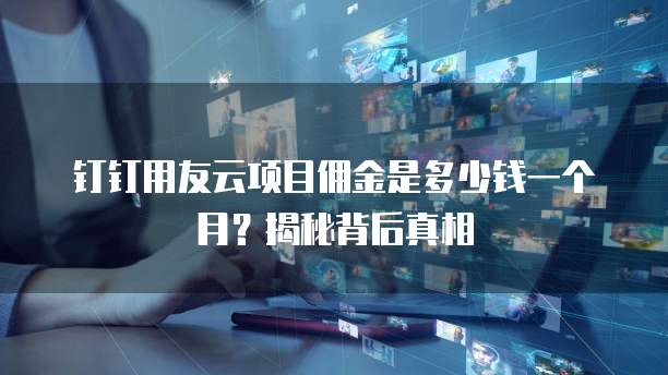 钉钉用友云项目佣金是多少钱一个月?揭秘背后真相