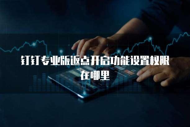 钉钉专业版返点开启功能设置权限在哪里