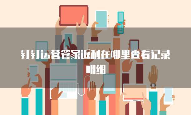 钉钉运营管家返利在哪里查看记录明细