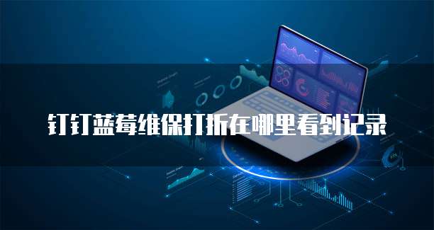 钉钉蓝莓维保打折在哪里看到记录