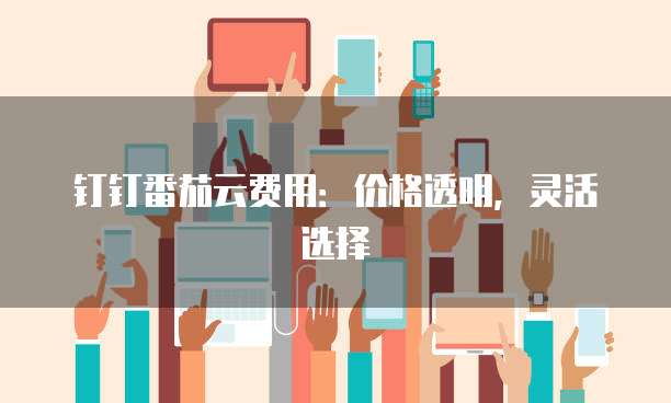 钉钉番茄云费用:价格透明,灵活选择