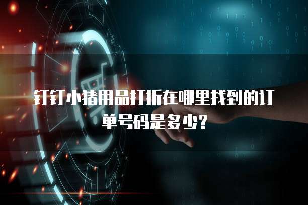 钉钉小猪用品打折在哪里找到的订单号码是多少?