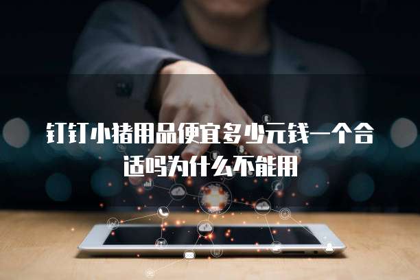 钉钉小猪用品便宜多少元钱一个合适吗为什么不能用
