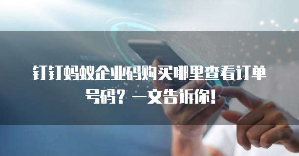 钉钉蚂蚁企业码购买哪里查看订单号码?一文告诉你!