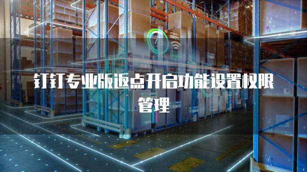 钉钉专业版返点开启功能设置权限管理