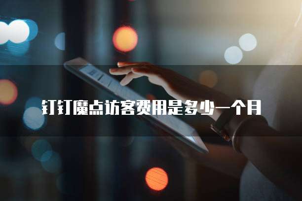 钉钉魔点访客费用是多少一个月